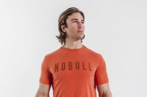 Magliette Nobull Bright Colors Uomo Arancioni | JMN-280193