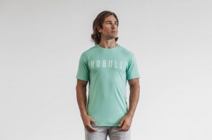 Magliette Nobull Bright Colors Uomo Verde Acqua | VJU-791863
