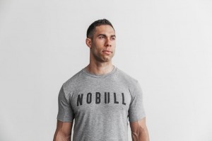 Magliette Nobull Classic Colors Uomo Grigie | ZHF-064578