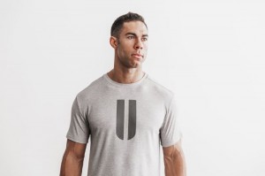 Magliette Nobull Horns Uomo Grigie | DLA-067493