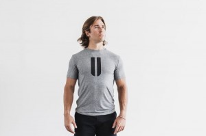 Magliette Nobull Horns Uomo Grigie | PRQ-701452
