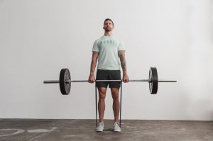 Magliette Nobull Seasonal Colors Uomo Menta | RYQ-620138